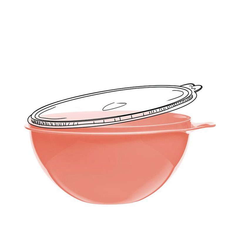 10049038675 Thatsa Bowl Cosy Rosy 906