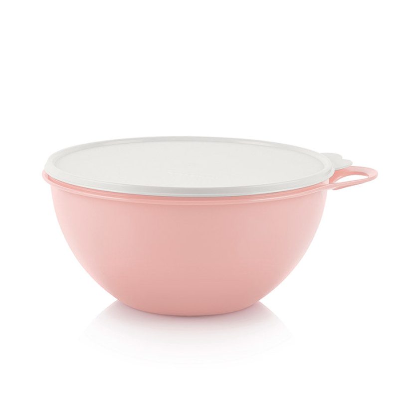 10049038676 Snow White Thatsa Medium Bowl 906