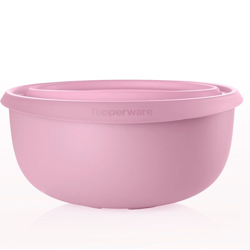 10178422000 tupperware ww st 2403 12116