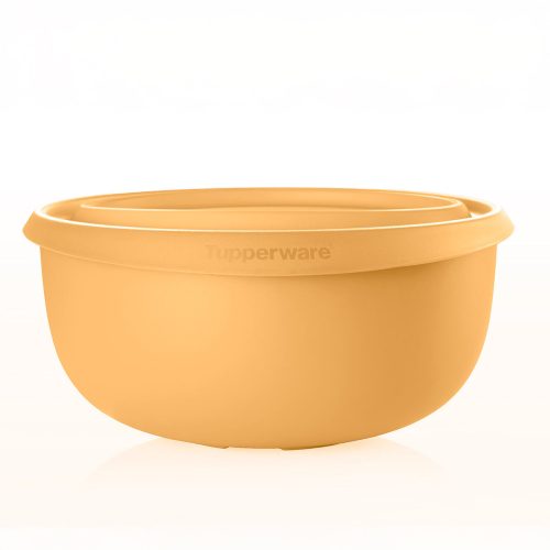 10178423000 tupperware ww st 2403 12110