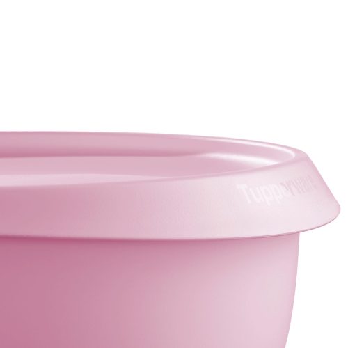 10178427000 tupperware ww st 2403 12095