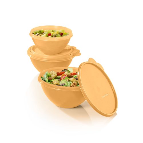 10178500000 tupperware ww st 2403 12159