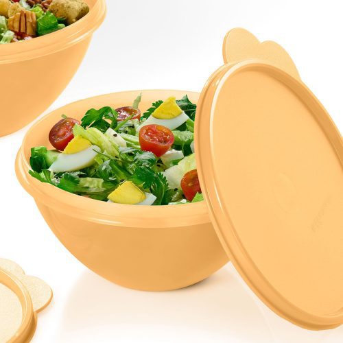 10178500000 tupperware ww st 2403 12163