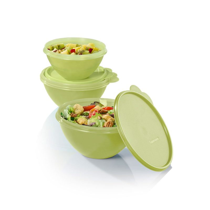 10178501000 tupperware ww st 2403 12147