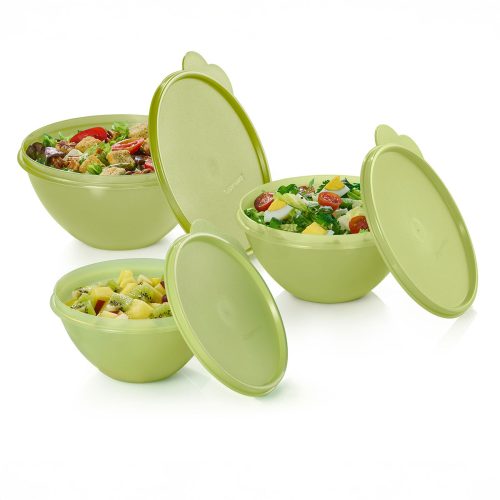 10178501000 tupperware ww st 2403 12148