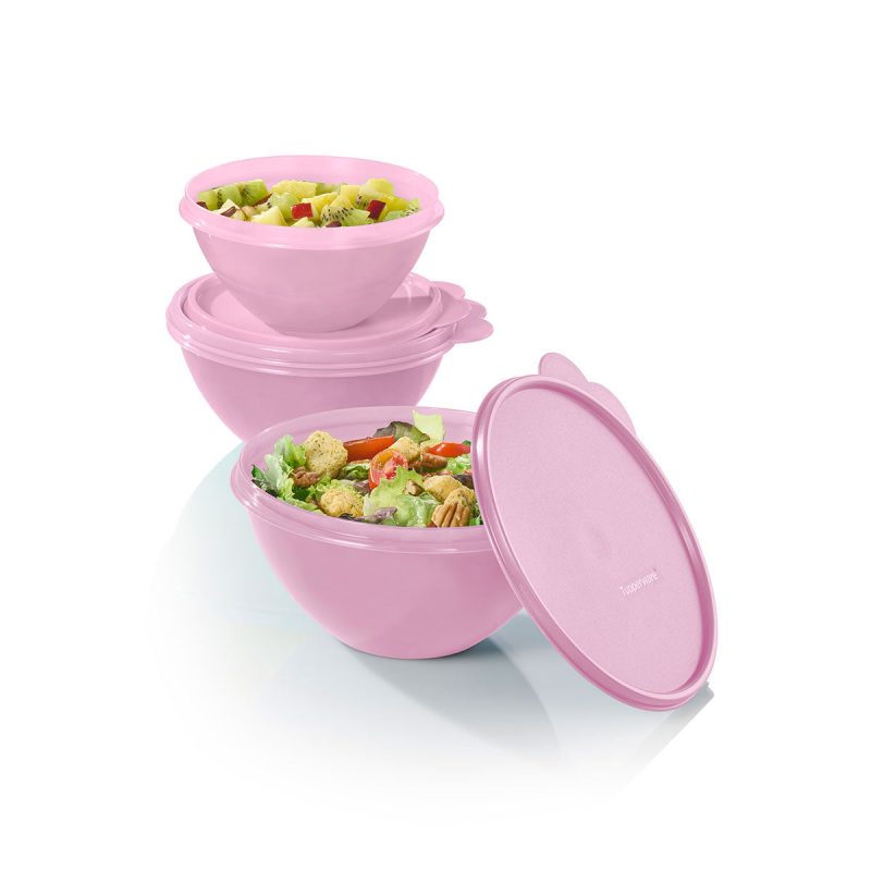 10178502000 tupperware ww st 2403 12153