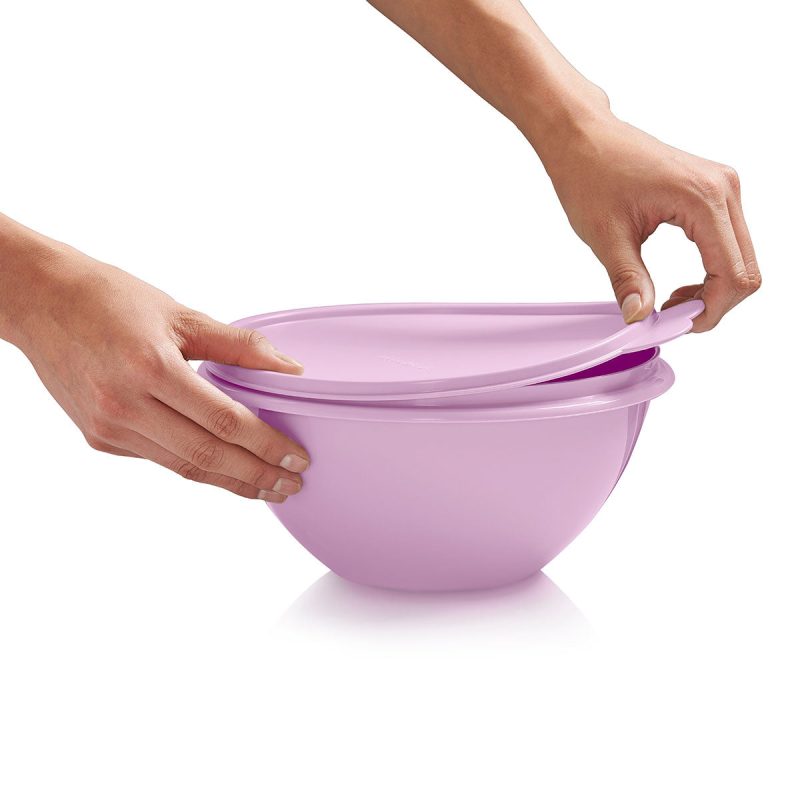 10178502000 tupperware ww st 2403 12155