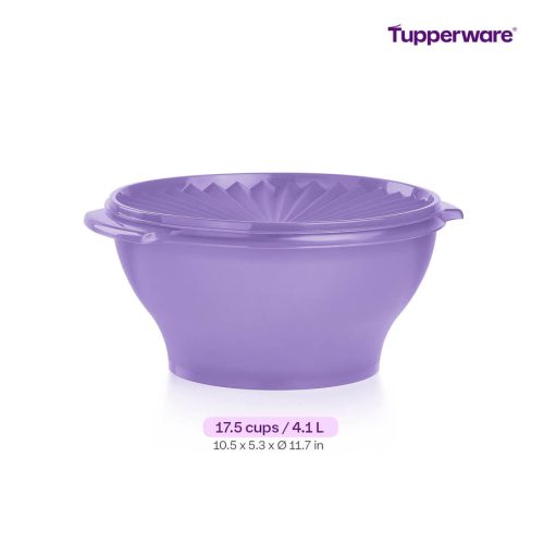 EN 1pc Heritage Bowl Large 4.1L HSN Ecommerce Measurement 2000x2000 1