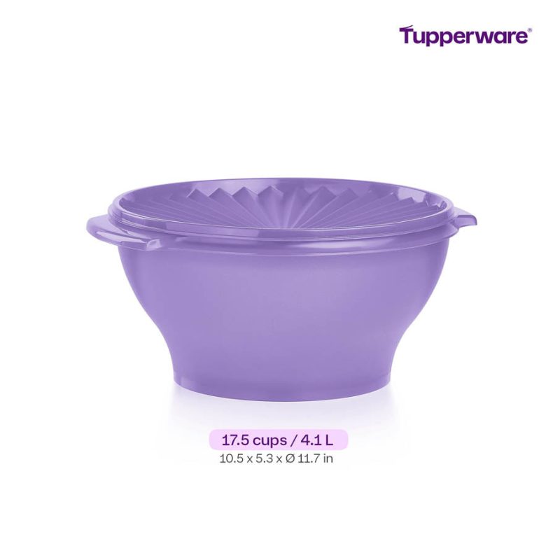 EN 1pc Heritage Bowl Large 4.1L HSN Ecommerce Measurement 2000x2000 1