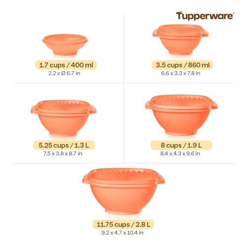 EN 8pc Heritage Bowl Set Coral HSN Ecommerce Measurement 2000x2000 1