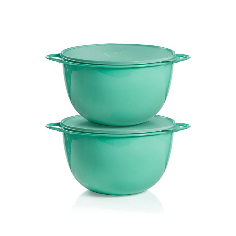 Tupperware ww st 2501 4003 1200