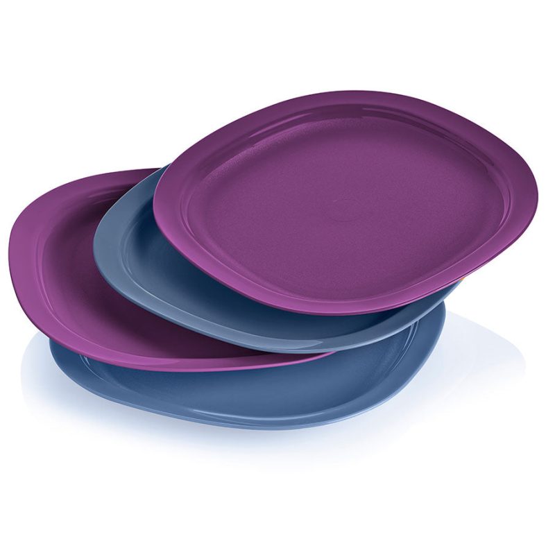 reheatable luncheon plates 2401 13022